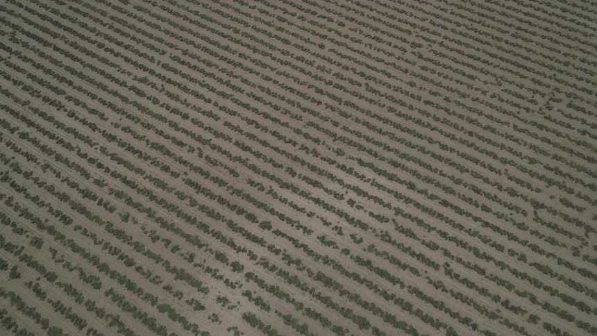 Ancient written work