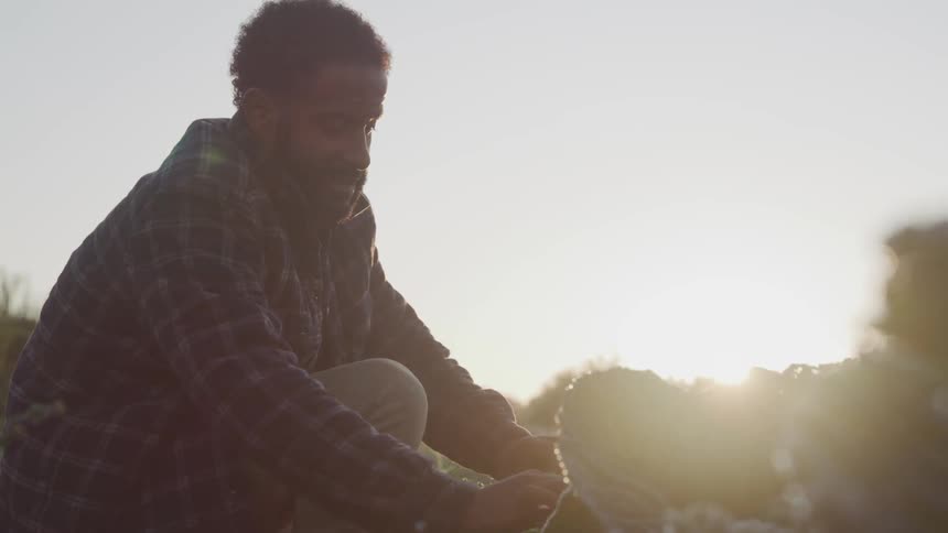 Man tending vegetable patch at dawn