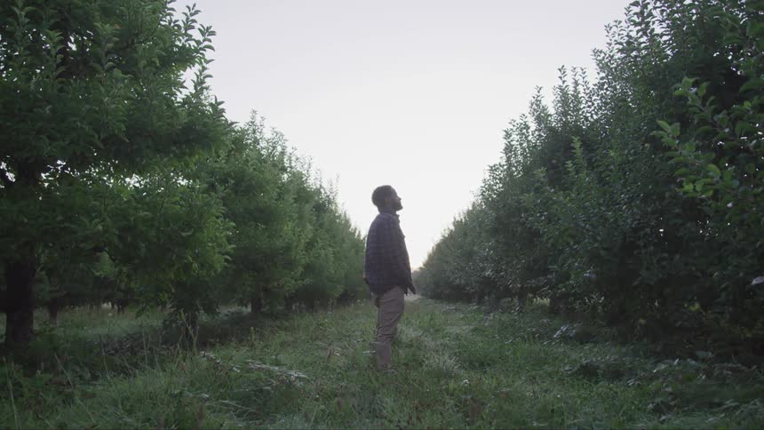 Black man stands on the grass and looks at the trees in the field
