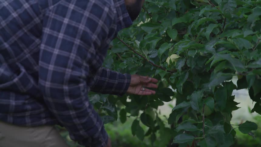 Man checking his farm condition