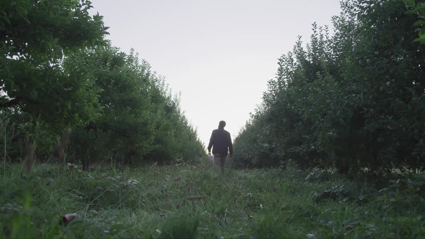 A man walk in the forest