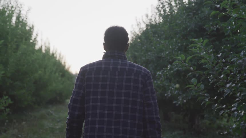 A man walking in the farm field