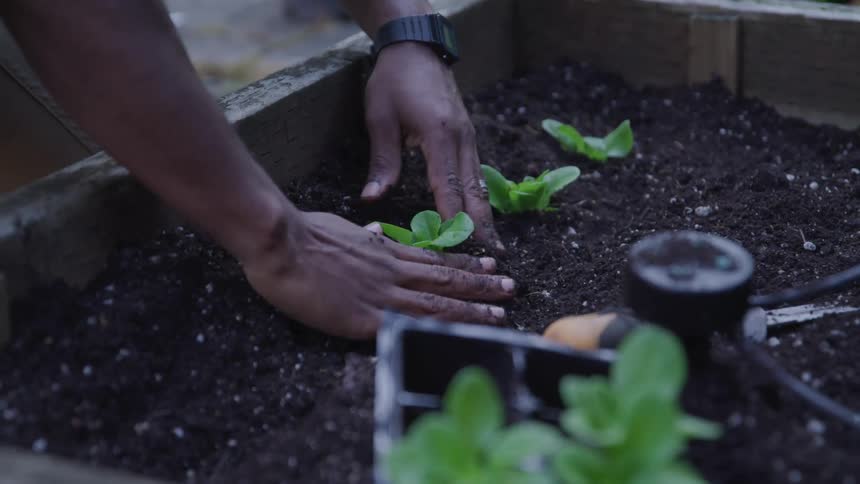 Man planting a plant on a plant box