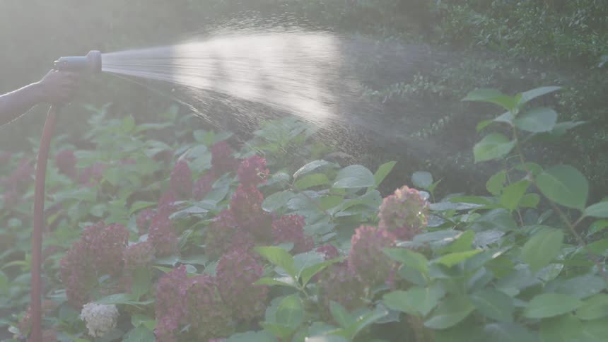 A man taking care of his garden