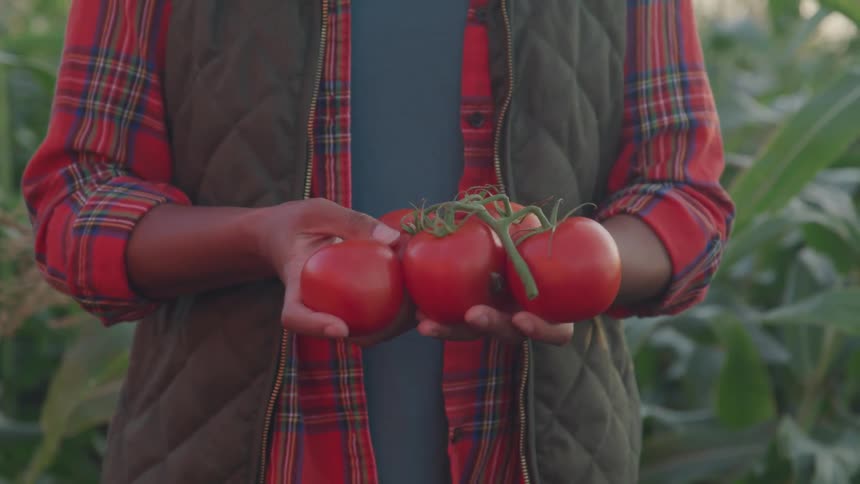 A black man stands outdoors while holding five tomatoes
