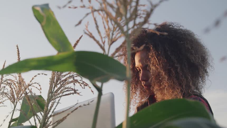 A woman with curly hair is working on her laptop near some grass