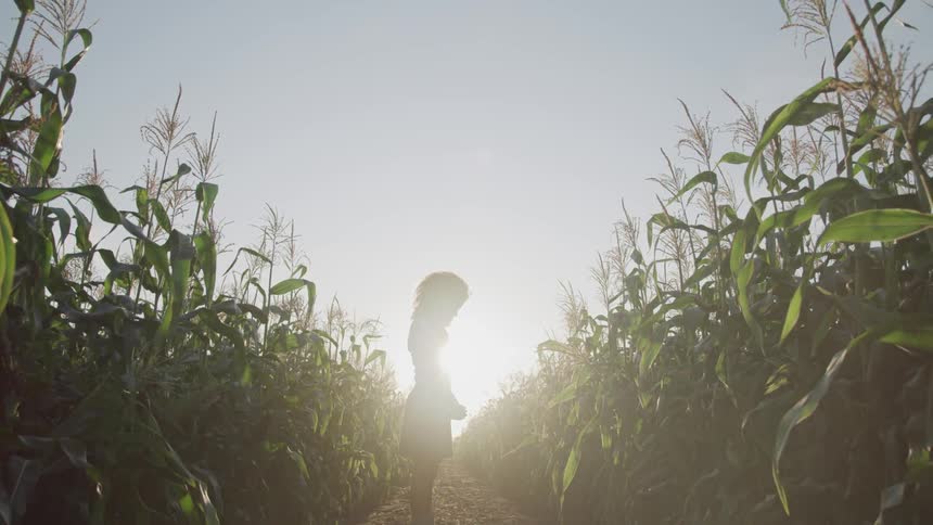 Curly hair black woman stands on the farm path in the field in the afternoon