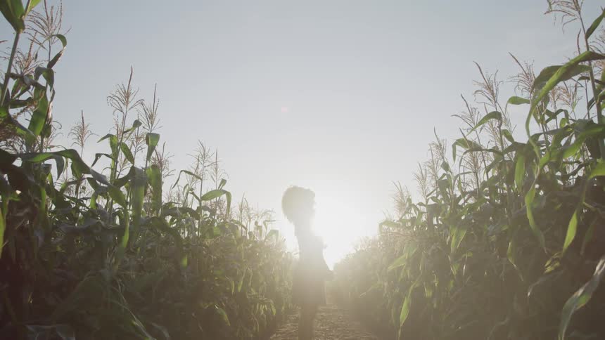 Curly hair brunette woman stands and looks up in the sky in the field at sunset