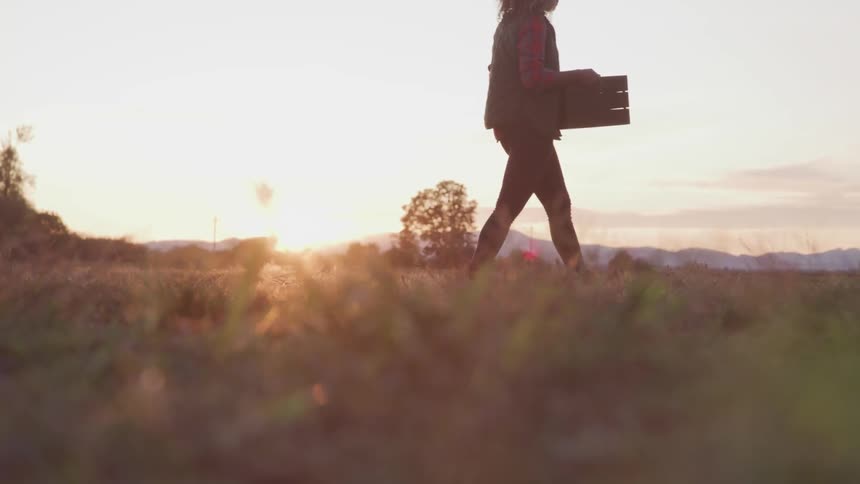 Woman carrying a basket walks on dry grass in the field at sunset