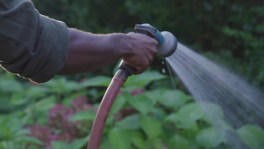 A mans arm and hand holding a hose and watering a flower garden