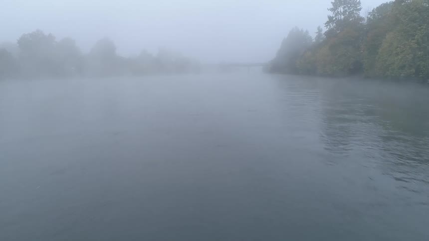 A heavy fog surrounds a tree lined river