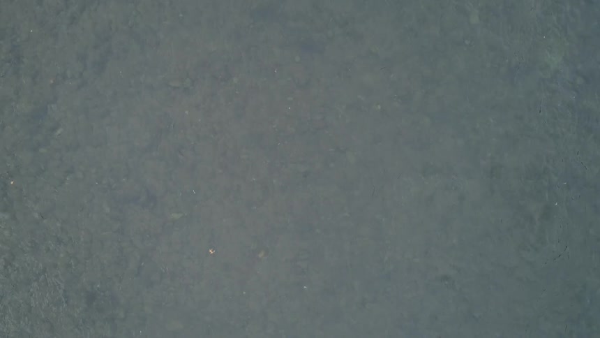 A scenery of a clear water ripples