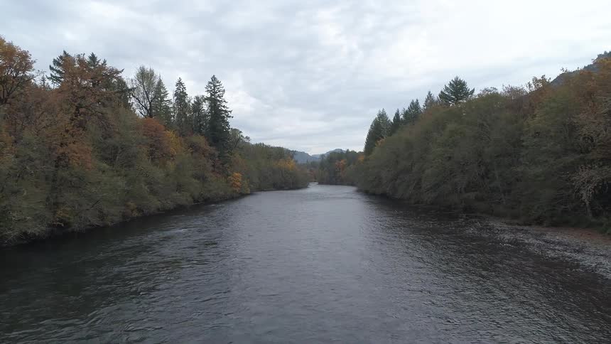 A scenery at the river