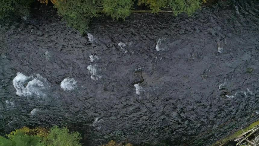 Water flows over the rocks in the river near the trees