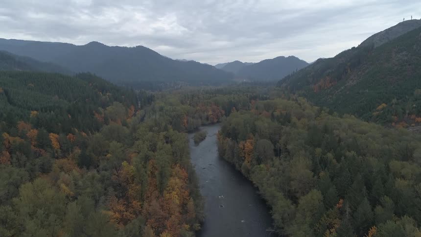 An aerial view of a river flowing through the forest is displayed