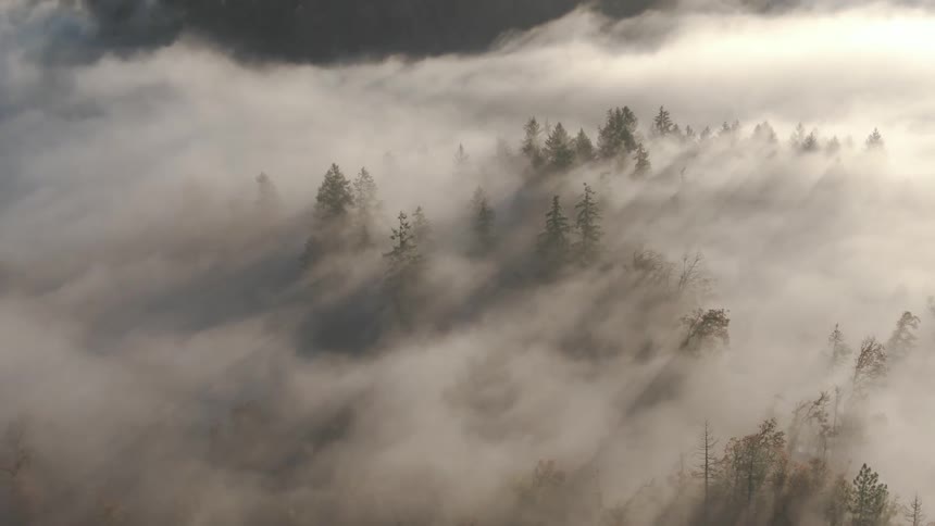 Clouds are covering the forest area
