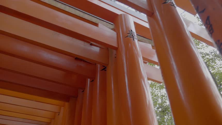 A footage of japanese architecture