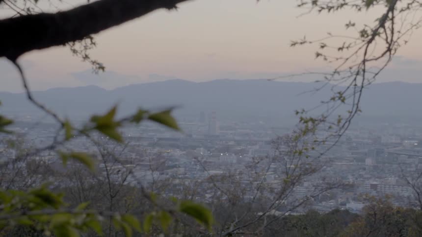 Through the trees high atop a mountain a sprawling city can be seen in the valley below