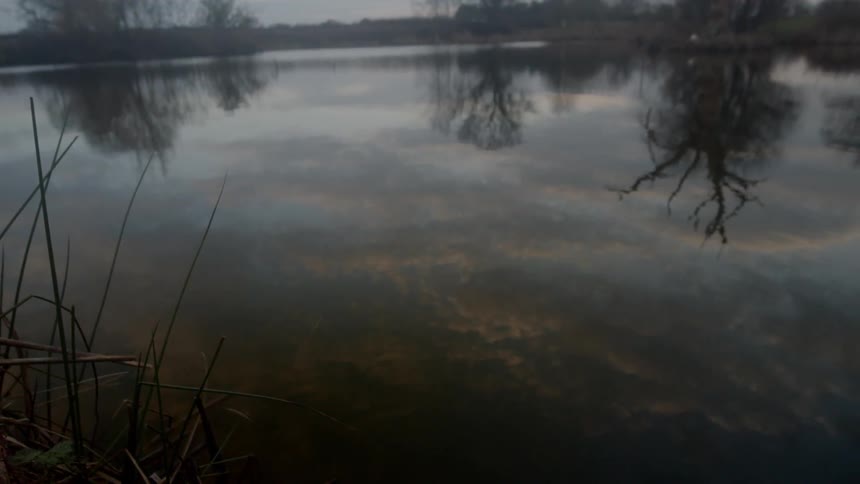 Trees are reflecting in the water