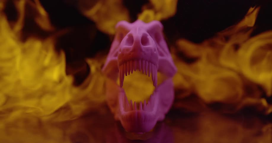 A purple colored animal skull is in dark room with flames behind it