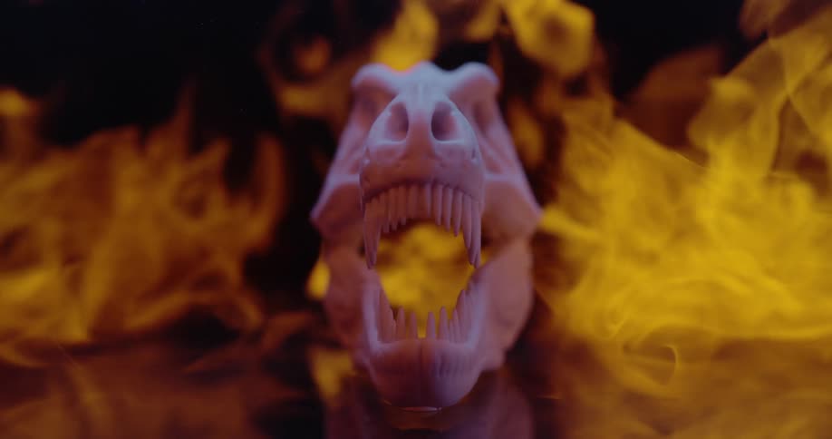 A toothy skull lies before a fiery background