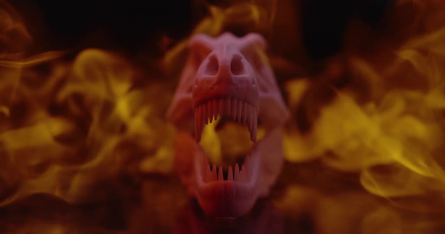 Flame engulfs dinosaur head model
