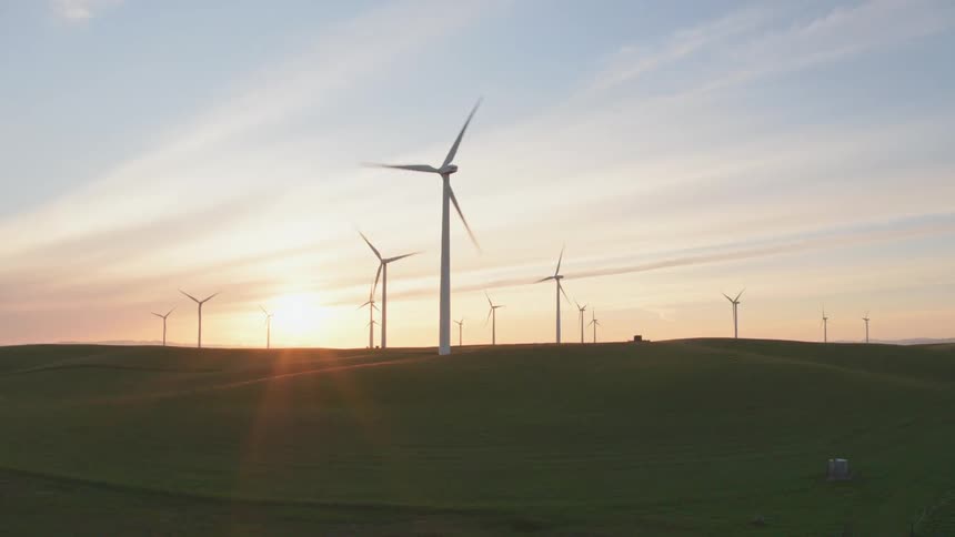 A farm of wind turbines generating power