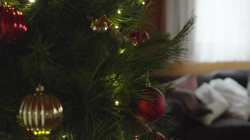 A decorated christmas tree