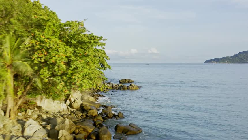 The shore is covered in trees and palm trees as the waves lap against the rocks