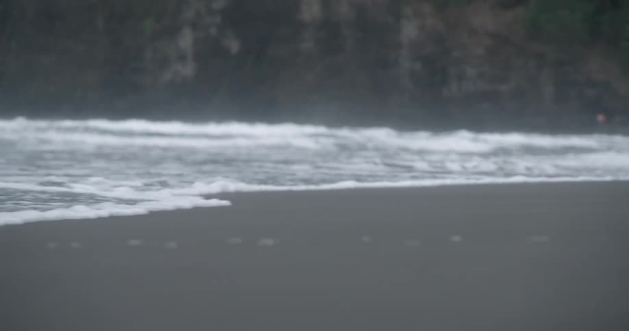 Waves roll in on a sandy beach