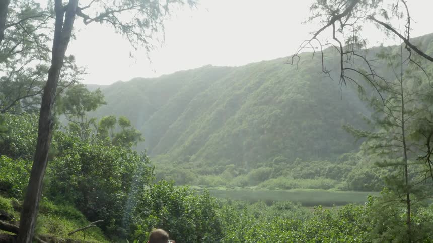 Man walks on the tree trunk to take picture of the distant mountain forest