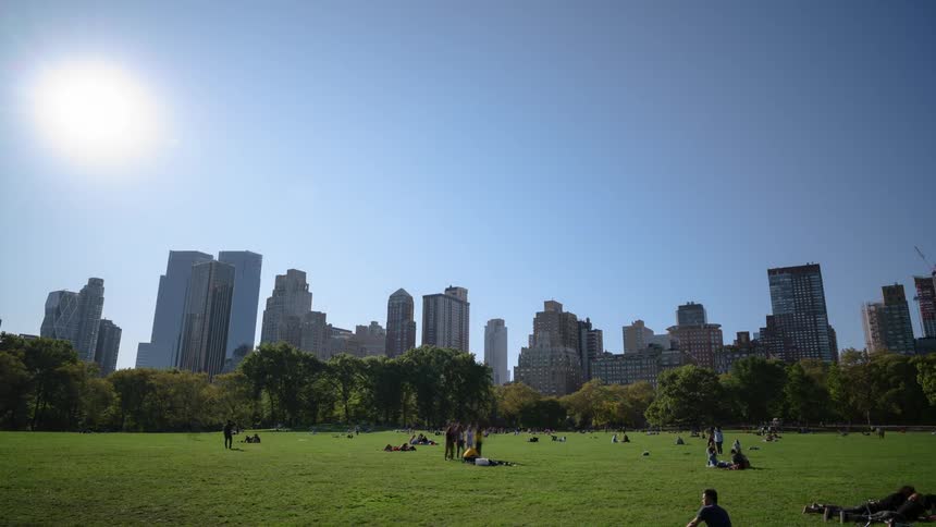 People sitting in central park in new york city