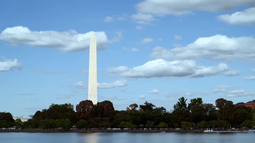 The washington monument against a blue sky with green trees at the base