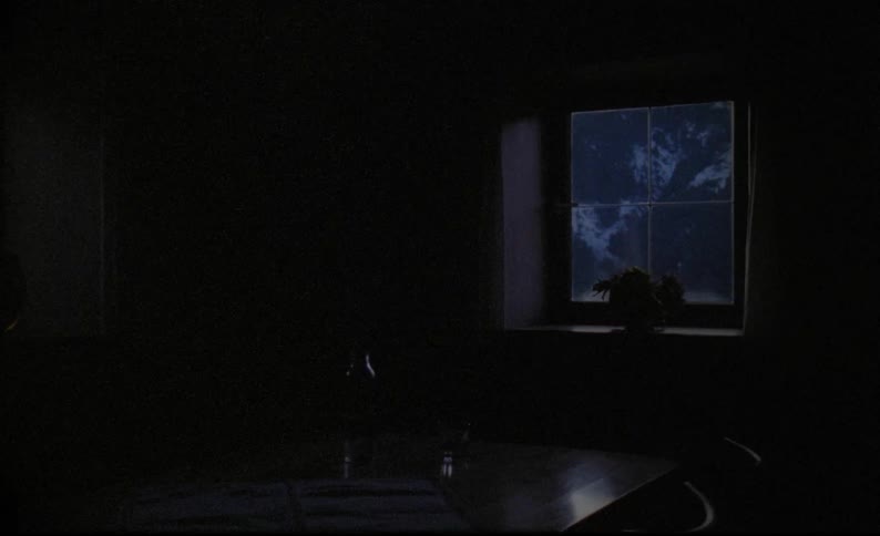 A plant sits on a windowsill in a dark house