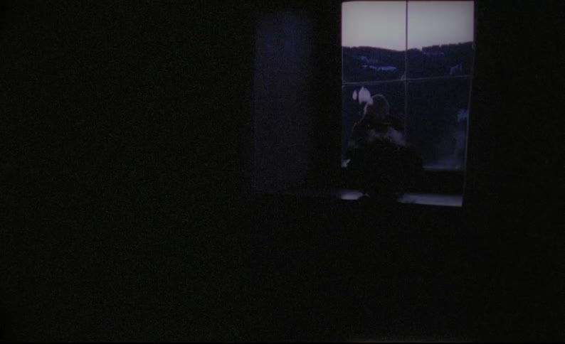 A woman stands outside of the window of a dark house