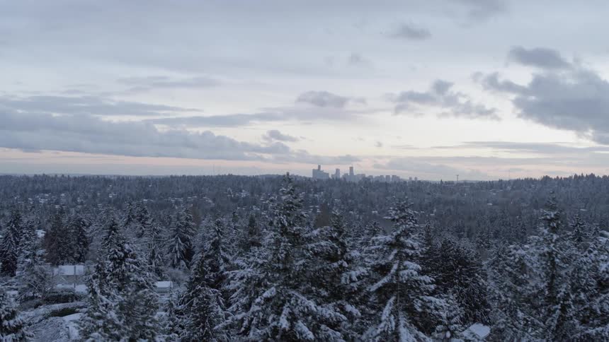 Rising above snow covered trees in a Seattle neighborhood revealing downtown in the distance