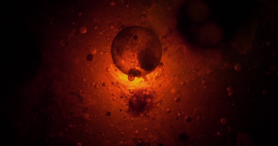 Small circles float around slowly in front of the light