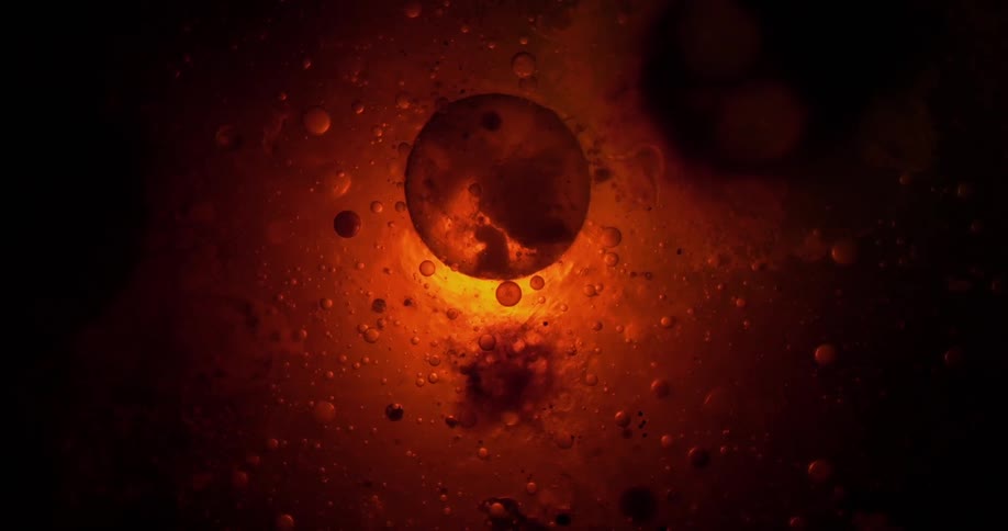 Small bubbles float around in the liquid