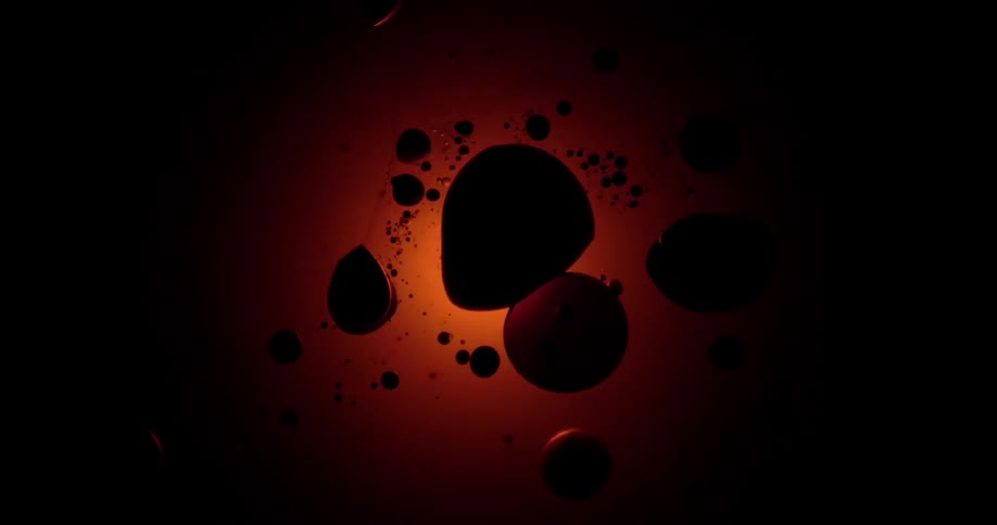 Dark blobs float in a red liquid