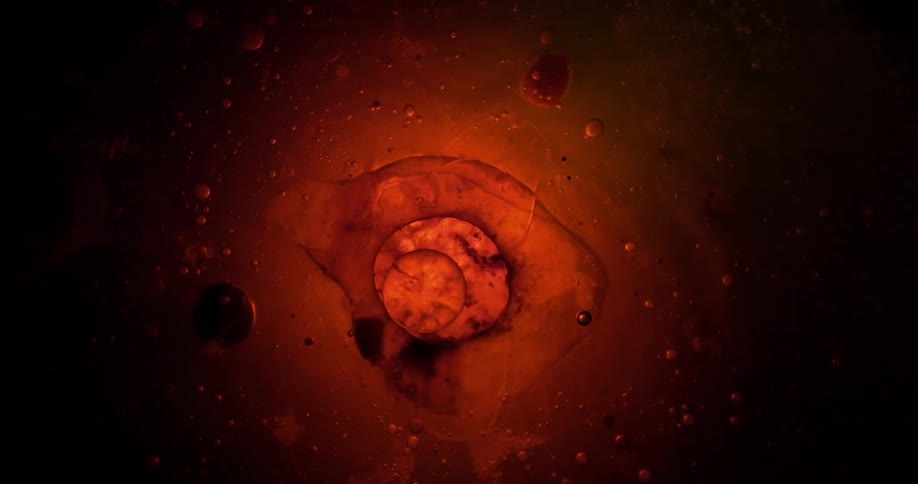 Bubbles collapsing into amber fluid