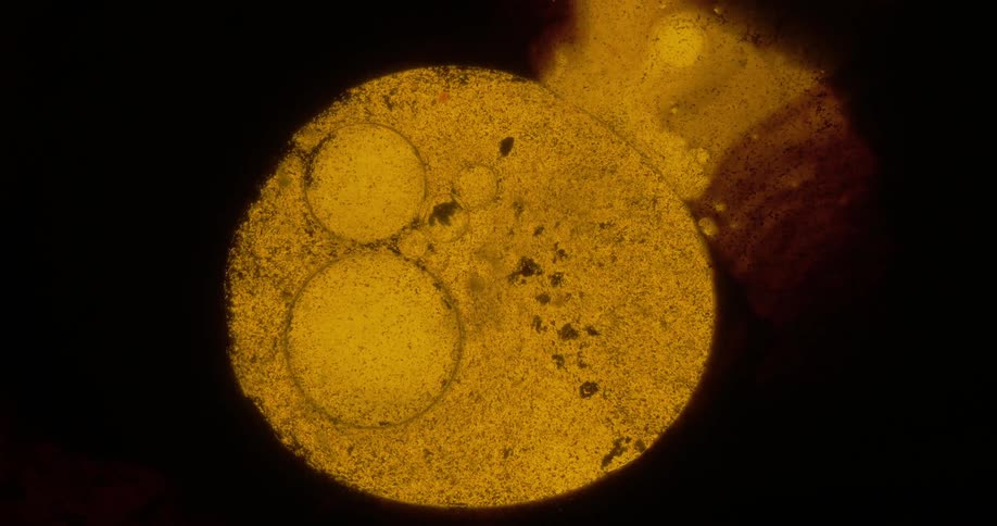 Yellow liquid swirls together