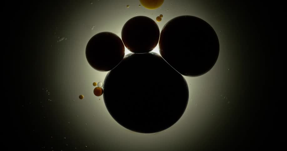 Jelly like orbs sit closely together