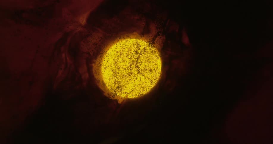A glowing circle of yellow light expands and contracts with specks of black