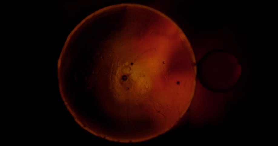 The globe blows up turning dark