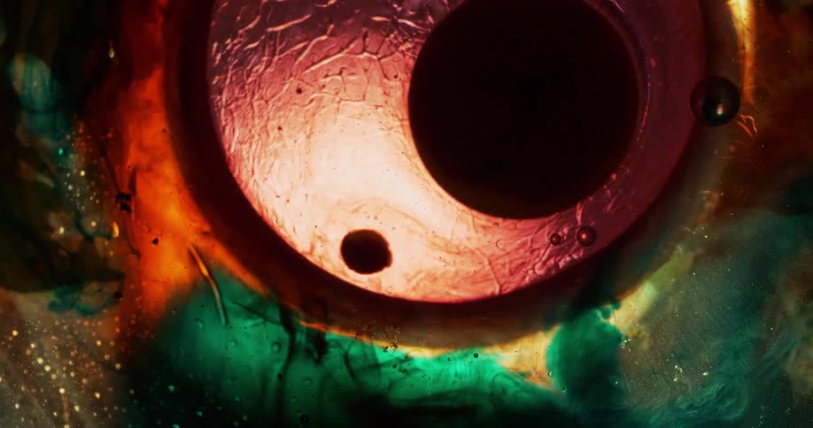 Colorful oils surround circular objects