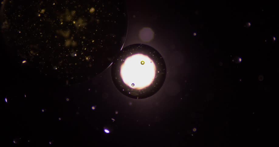Small spheres float around the liquid