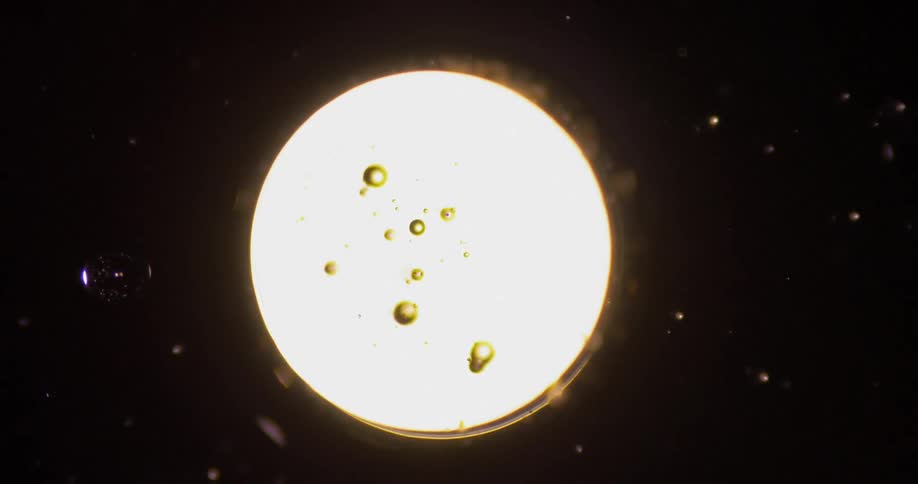 A droplet of fluid is illuminated as it suspended in an aqueous environment
