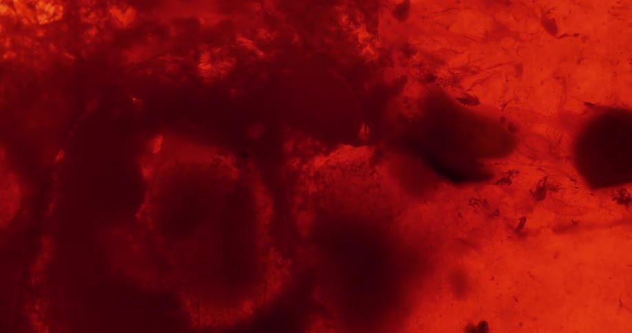 Red smoke billowing into the air