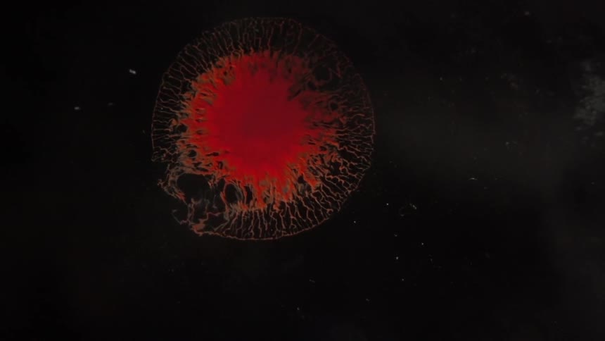 A red drop falls into the liquid