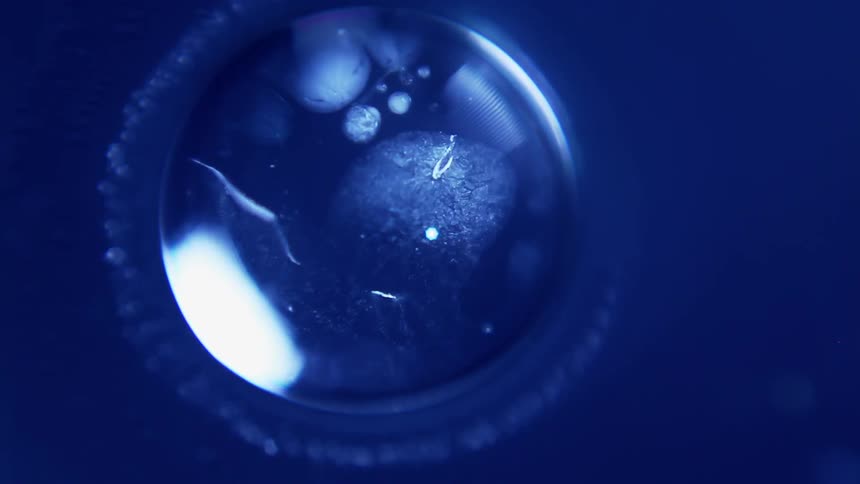 Weird orbs hang suspended in the air through a porthole